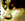 Click to continue.