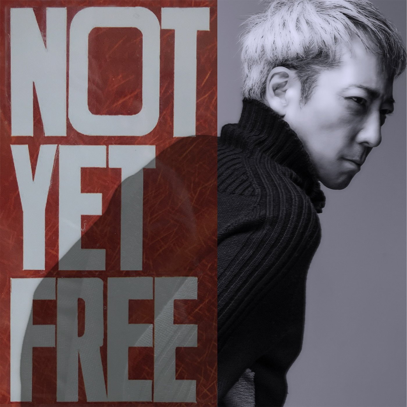 『Not Yet Free』 アートワーク