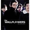 The Wallflowers | Red Letter Days