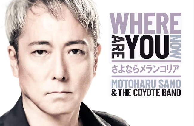 쌳t & THE COYOTE BANDuȂ烁RAvFXi[̊z