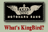 What's King Bird?
